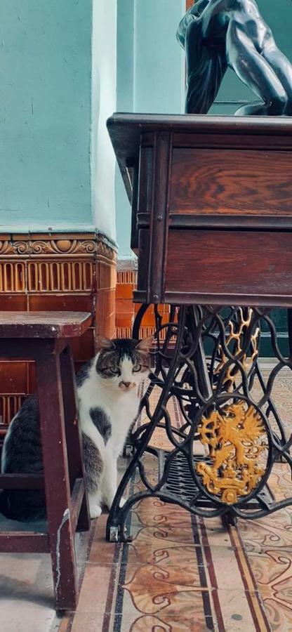 El Secreto Casa Art Homestay *